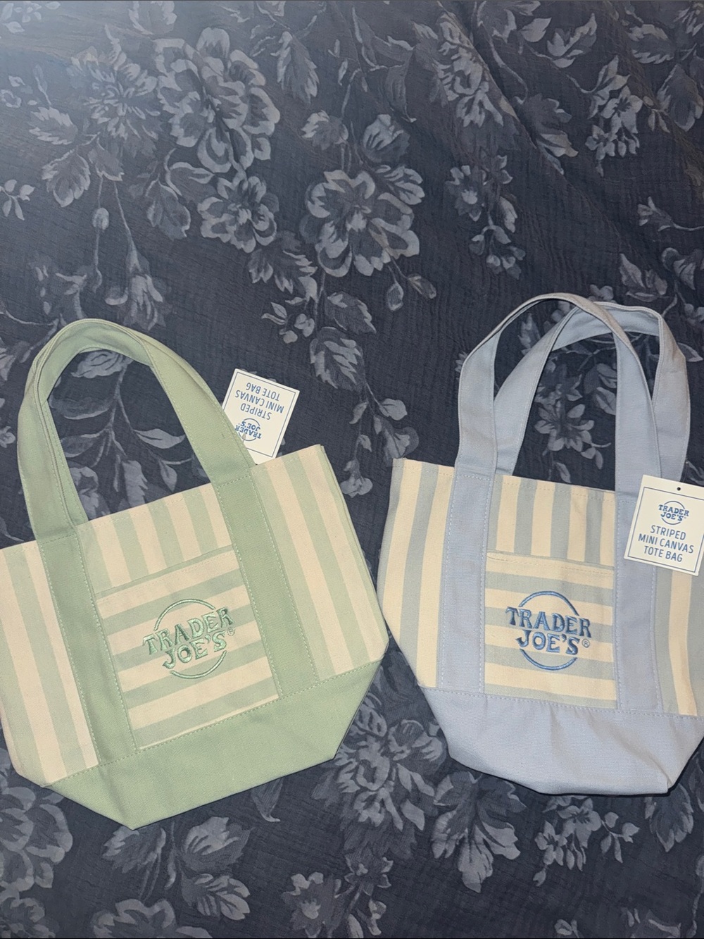 Striped Mini Canvas Tote Bag - Green & blue